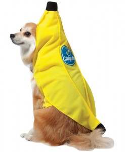 Chiquita Banana Pet Costume