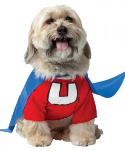 Underdog Pet Costume
