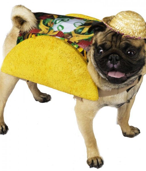 Taco Pet Food Dog Costume Halloween Costume Ideas 2019