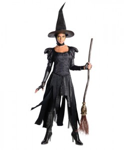 Oz The Great And Powerful Deluxe Wicked Witch of the West Adult Costume