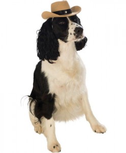 Brown Cowboy Dog Hat
