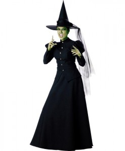 Witch Elite Collection Adult Costume