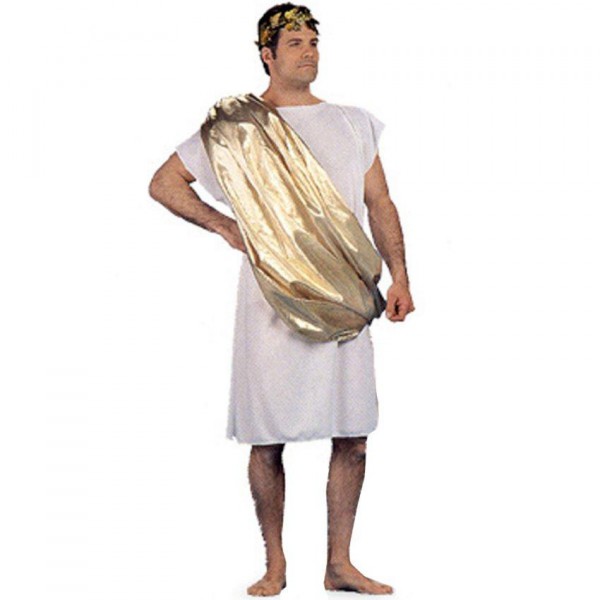 Toga Male Adult Costume Halloween Costume Ideas 2023