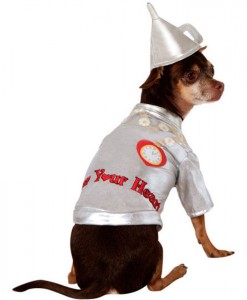 Wizard Of Oz - Tin Man Dog Costume