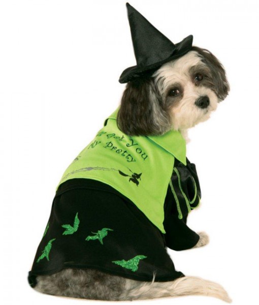 Wizard Of Oz - Wicked Witch Of The West Witch Dog Costume