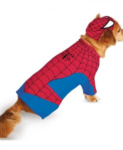 Pet Spider-Man Costume
