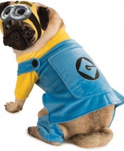 Despicable Me Dog Costume