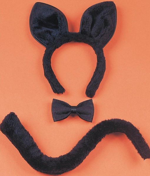 Instant Cat Accessory Kit (Adult)