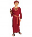 Burgundy Wiseman Child Costume