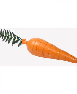 Giant Artificial Carrot