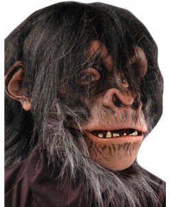Chimp Adult Mask