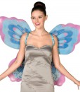 Fairy Wings Adult