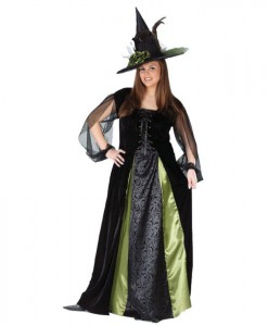 Goth Maiden Witch Adult Plus Costume