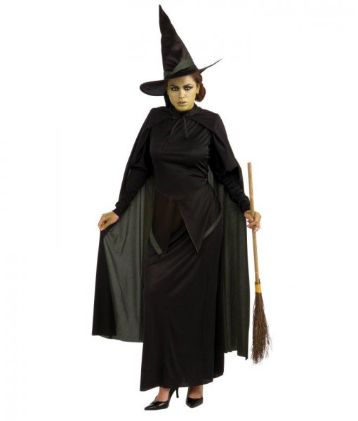 The Wizard of Oz Wicked Witch Adult Costume