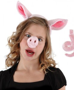 Pig Accessory Kit