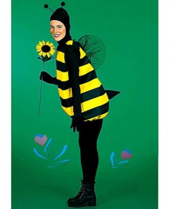 Complete Bumble Bee Adult Costume