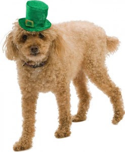 Mini Leprechaun Hat Pet Costume