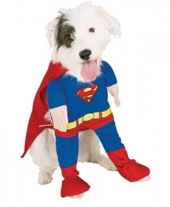 Superman Deluxe Dog Costume