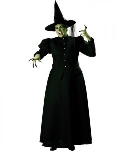 Witch Elite Collection Adult Plus Costume