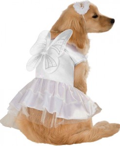 Angel Dog Costume