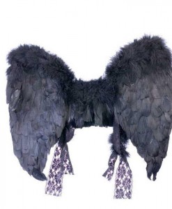 Adult (Black) Feather Angel Wings