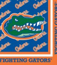 Florida Gators - Lunch Napkins (20 count)