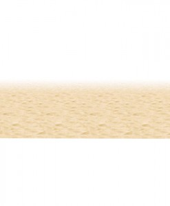 30' Ocean Floor Border